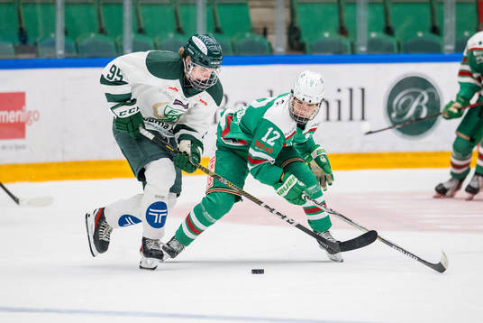 Bläddra bland fler bilder av Ishockey, J20 Nationell Södra, Rögle - Färjestad