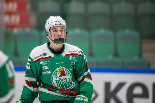 Rögles Laban Persson