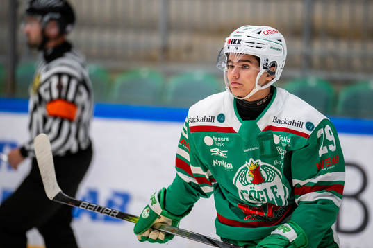 Rögles William Svensson