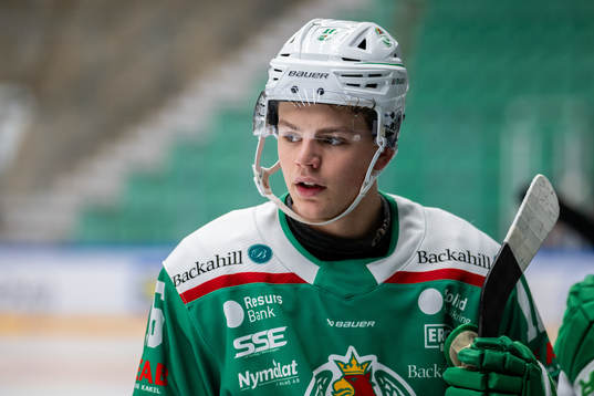 Rögles Ian Scherzer