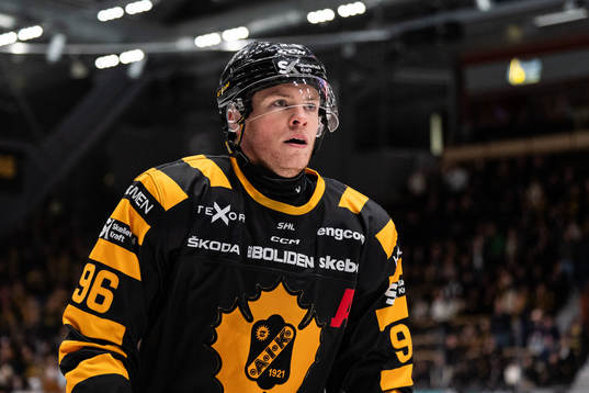 Skellefteås Rickard Hugg jublar