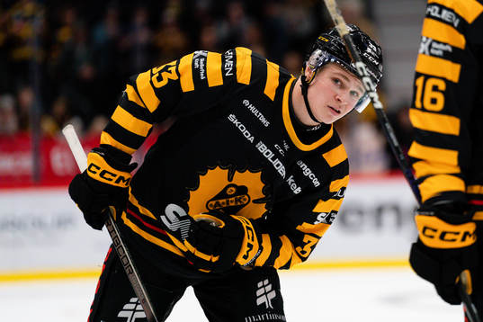 Skellefteås Zeb Forsfjäll