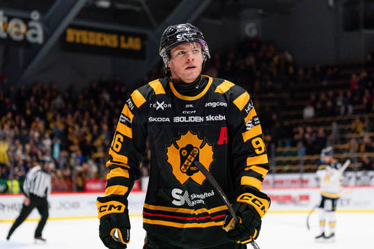 Skellefteås Rickard Hugg jublar