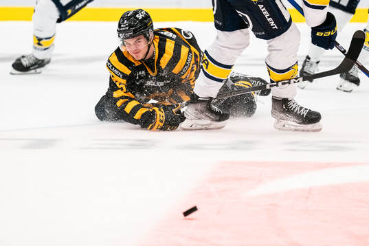 Skellefteås Axel Sandin Pellikka