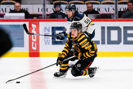 Skellefteås Axel Sandin Pellikka och HV71s Fredrik Forsberg