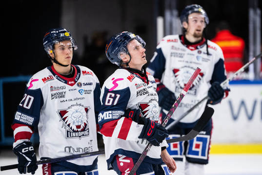 Linköpings Arvid Westlin och Markus Ljungh deppar