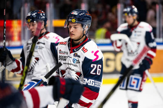 Linköpings Fabian Wagner deppar