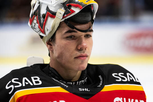 Luleås målvakt Matteus Ward