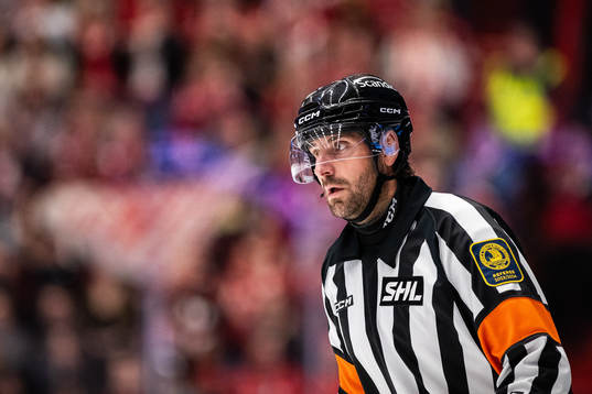 Domare Mikael Sjöqvist