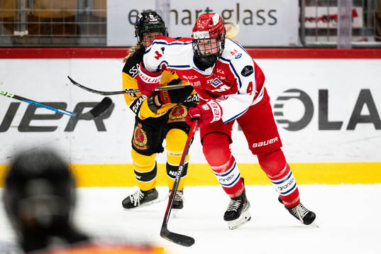 Timrås Casey Traill