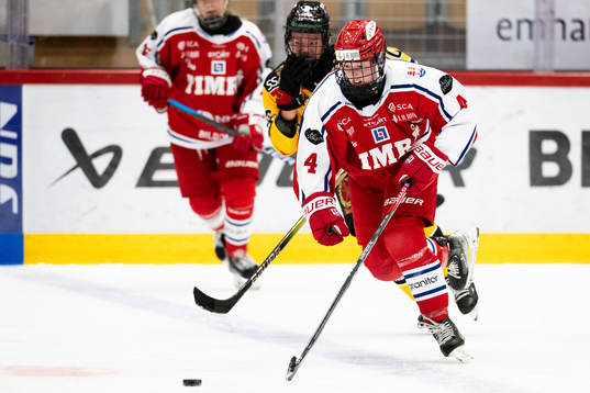 Timrås Casey Traill