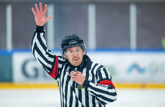 Domare Marcus Hejdesten
