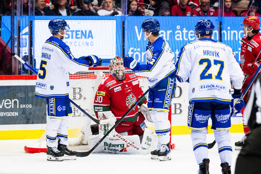 Leksands Lukas Vejdemo jublar