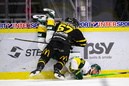 Västerås Konstantin Komarek och Björklövens Jacob