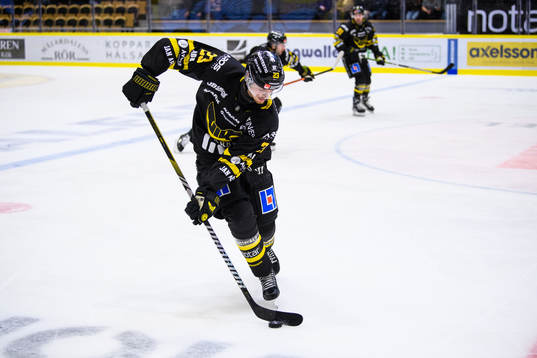 Västerås Adam Hofbauer