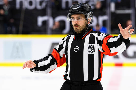 Domare Mattias Enroth