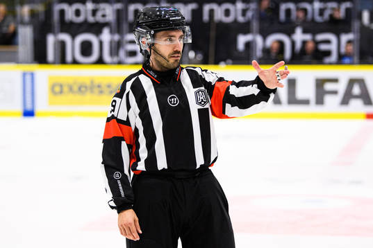Domare Mattias Enroth