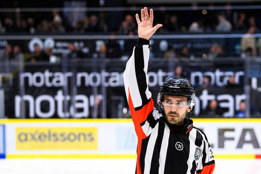 Domare Mattias Enroth