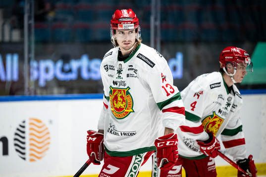 Moras Fabian Ilestedt