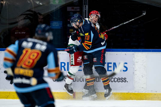 Djurgårdens Anton Gradin