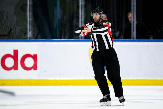 Domare Niklas Johansson