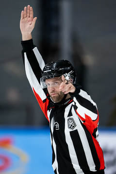 Domare Niklas Johansson