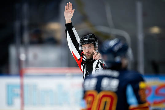 Domare Niklas Johansson