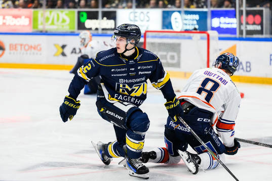 HV71s Hugo Pettersson