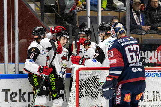 Malmö Redhawks spelare jublar