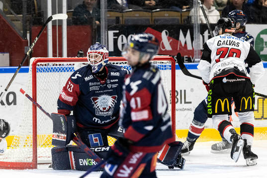 Linköpings målvakt Marcus Högberg deppar