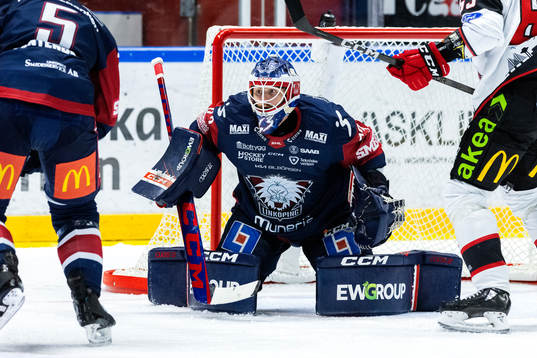 Linköpings målvakt Marcus Högberg