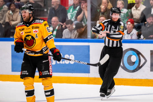 Luleås Linus Omark och domare Mikael Holm