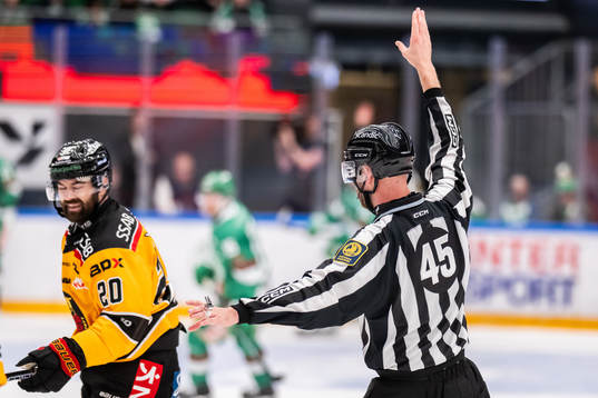 Linjedomare Andréas Svensson