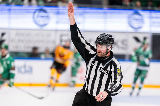 Linjedomare Andréas Svensson
