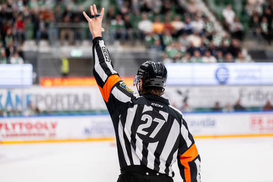 Domare Mikael Sjöqvist
