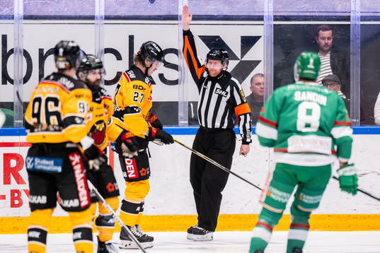 Domare Mikael Holm