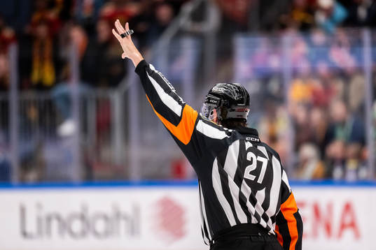 Domare Mikael Sjöqvist