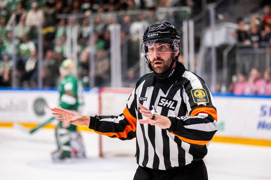 Domare Mikael Sjöqvist