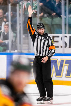 Domare Mikael Sjöqvist