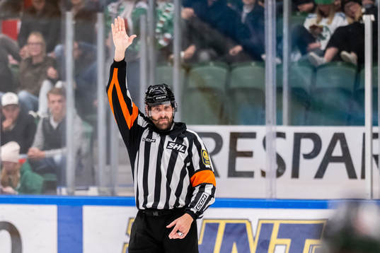 Domare Mikael Sjöqvist
