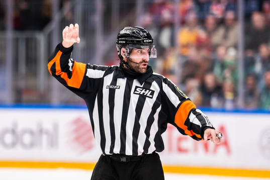 Domare Mikael Sjöqvist