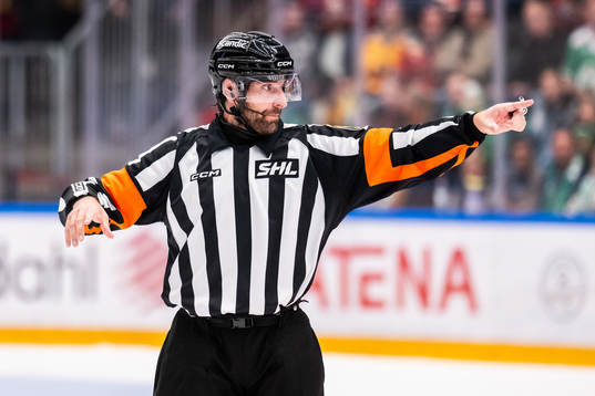 Domare Mikael Sjöqvist
