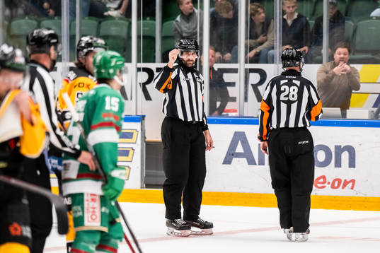 Domare Mikael Sjöqvist och Mikael Holm