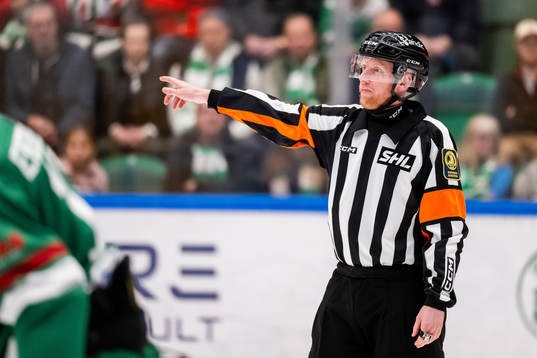 Domare Mikael Holm