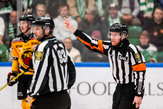 Domare Mikael Holm