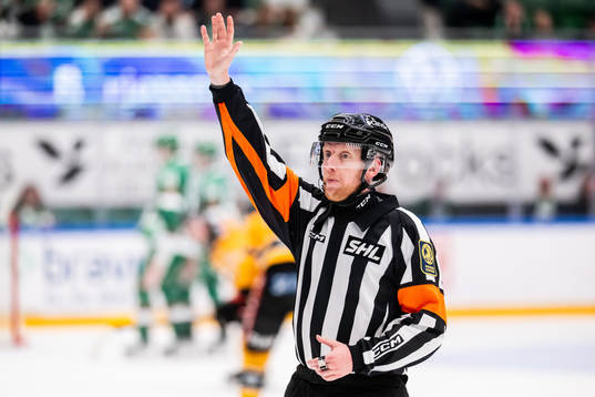 Domare Mikael Holm