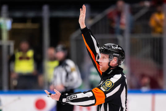 Domare Mikael Holm