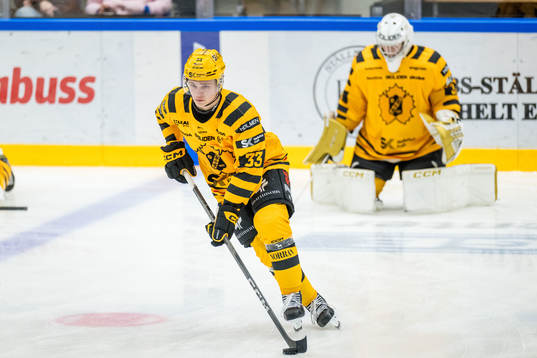 Skellefteås Zeb Forsfjäll