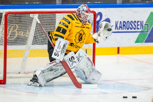 Skellefteås målvakt David Rautio