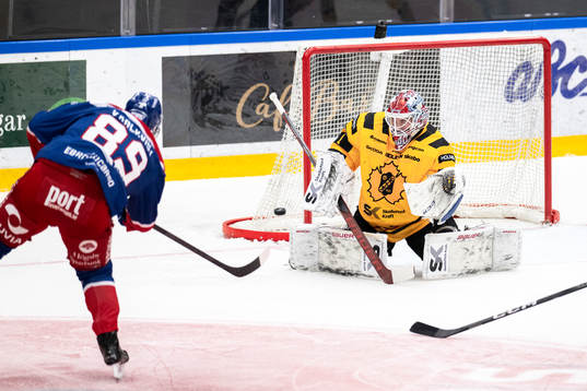 Skellefteås målvakt David Rautio